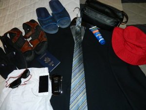 Packing for a cruise vacation is not hard. In David's lecture, packing is made simpler than anticipated. 